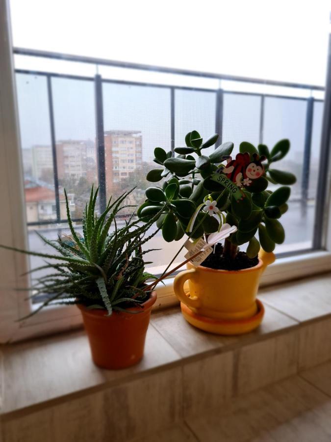 Cozy Apartment Arad Zewnętrze zdjęcie