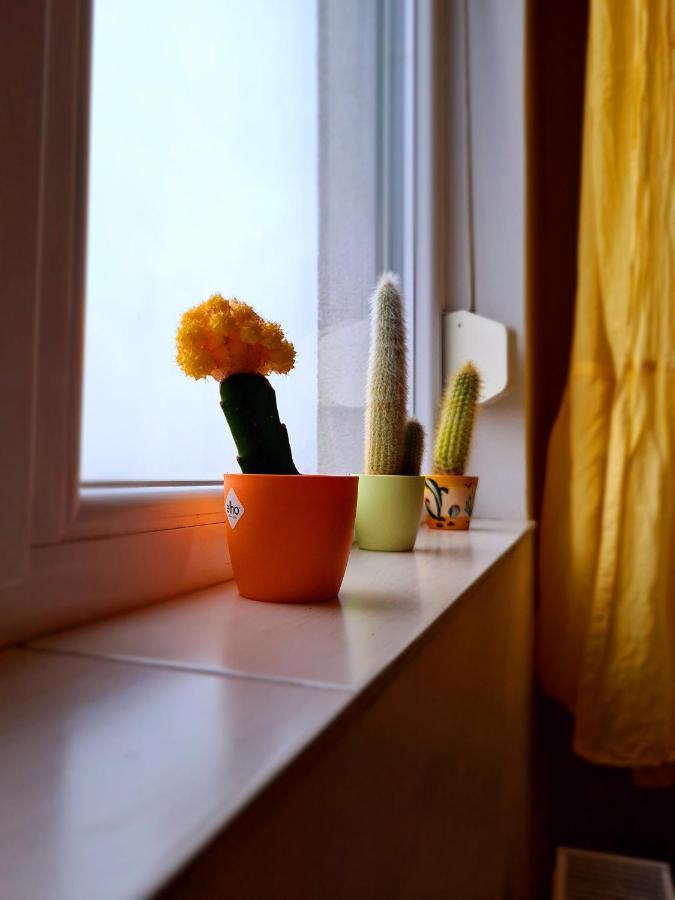 Cozy Apartment Arad Zewnętrze zdjęcie